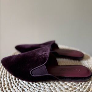 Liza Slide
From SPLENDID FOOTWEAR size 8,5